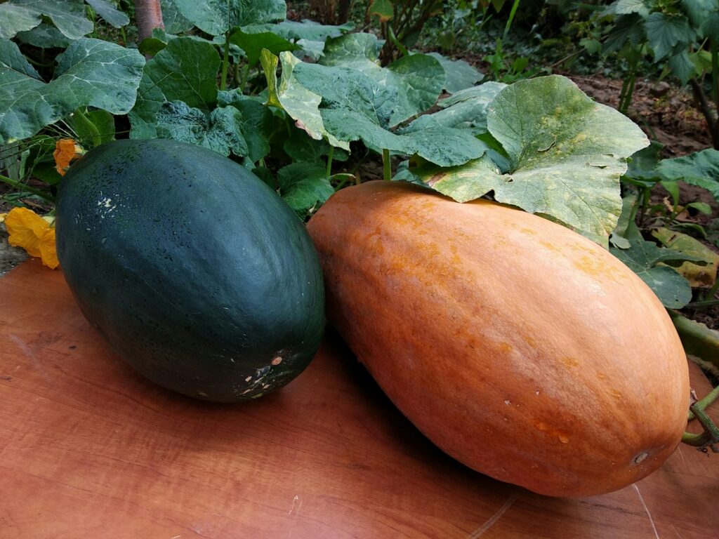 a group of vegetables on a table